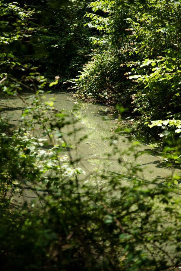 Le Domaine Du Cerf - Gites, Nature Et Spa Saint-Ouen-les-Vignes Buitenkant foto